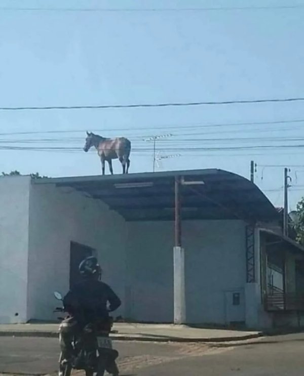 What Is Going On Here? (29 pics)