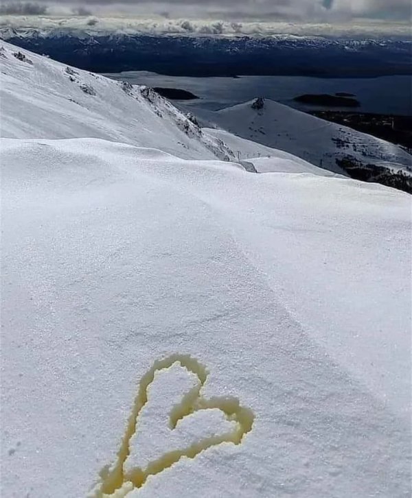 What Is Going On Here? (29 pics)