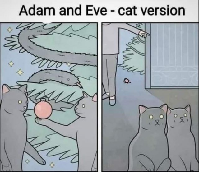 Cute And Funny Cats (29 pics)