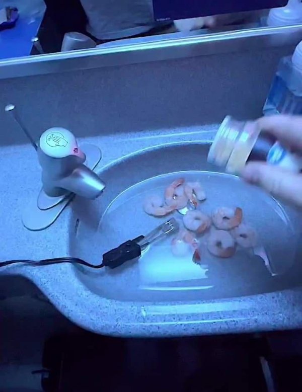 What Is Going On Here? (29 pics)