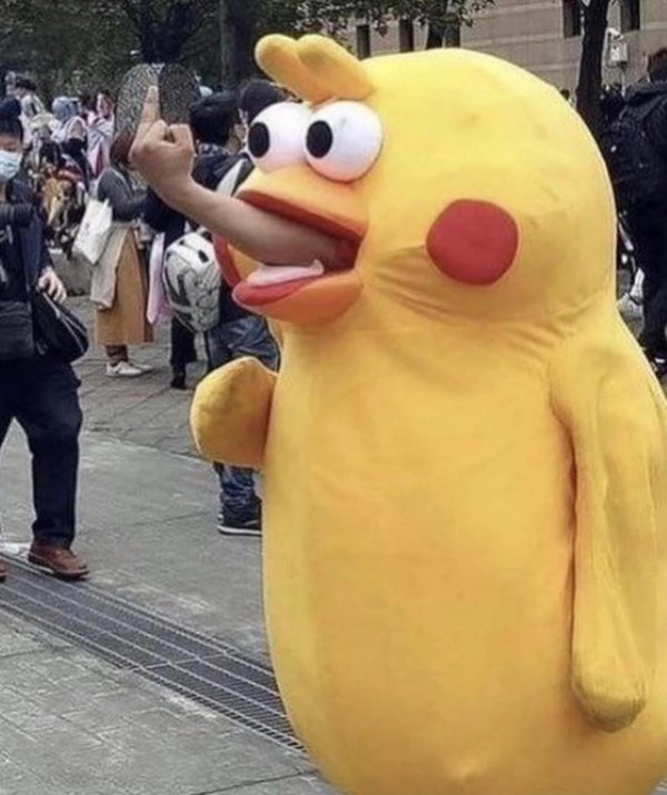 What Is Going On Here? (29 pics)