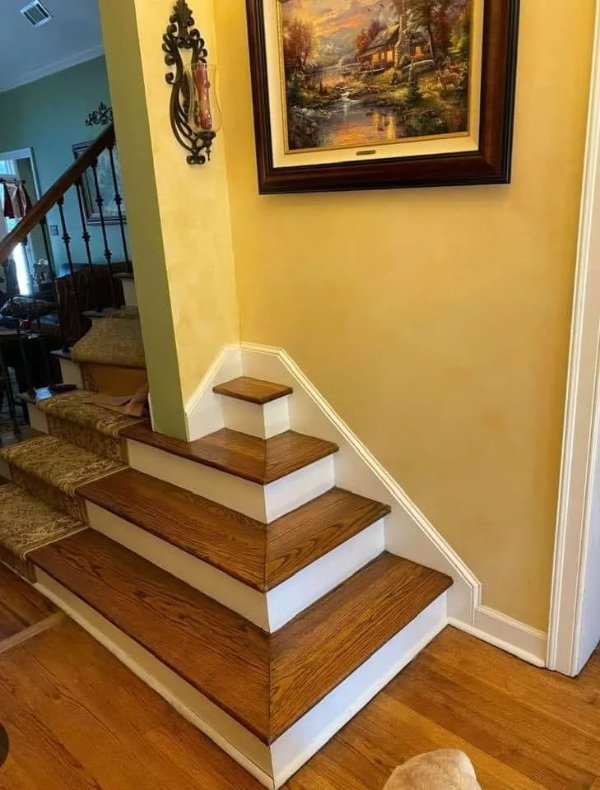 What Is Going On Here? (29 pics)