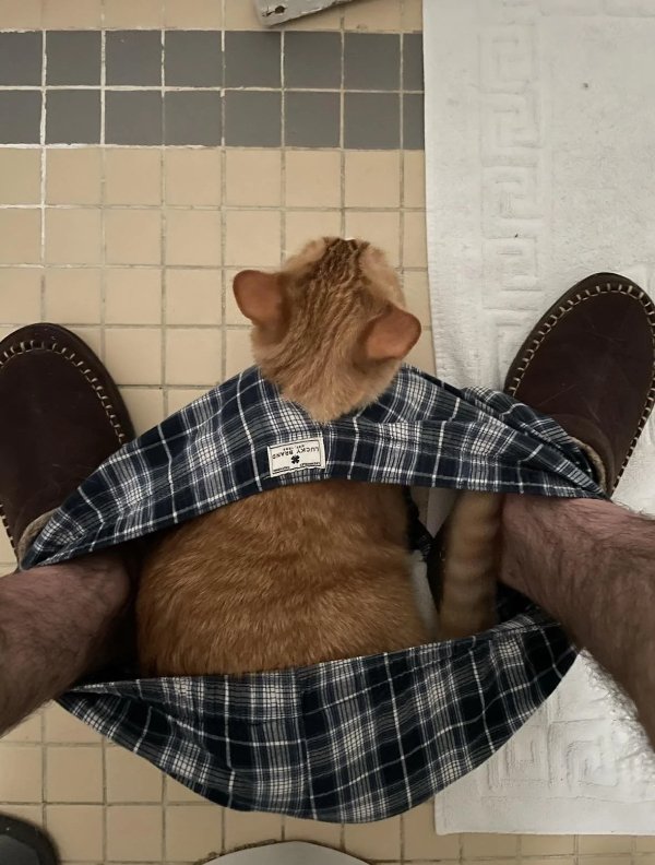 What Is Going On Here? (29 pics)