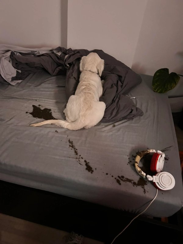 Bad Days Happen (17 pics)
