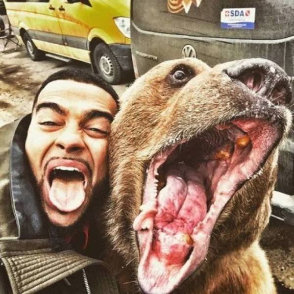 Funny Animals (53 pics)
