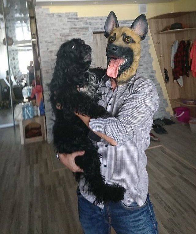 Funny Animals (53 pics)