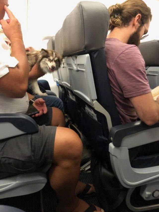 Funny Animals (53 pics)