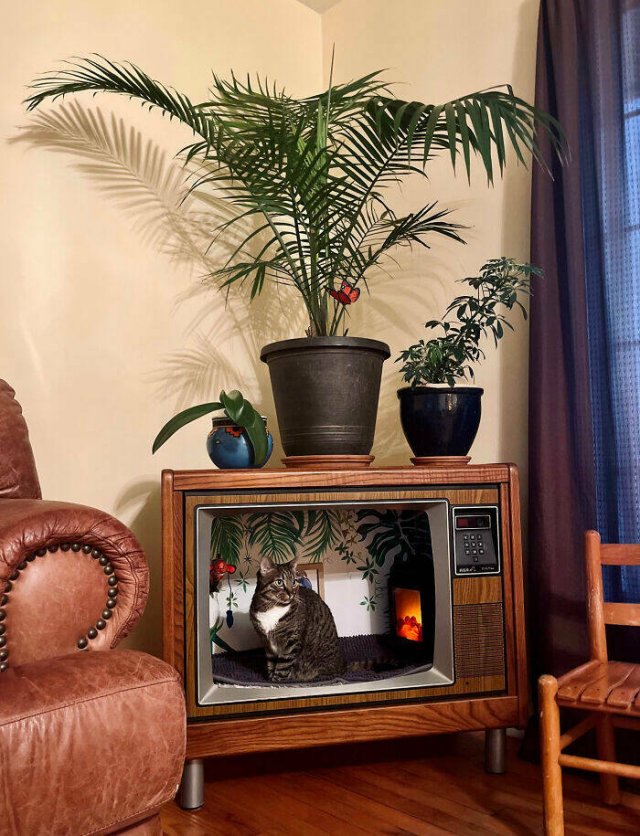 Helpful Tips For Saving Money (25 pics)