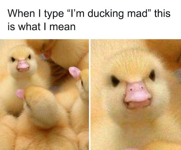 Jokes For Introverts (28 pics)