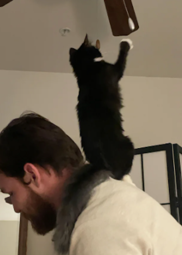 They Didn't Want Pets (29 pics) They Didn't Want Pets (29 pics)