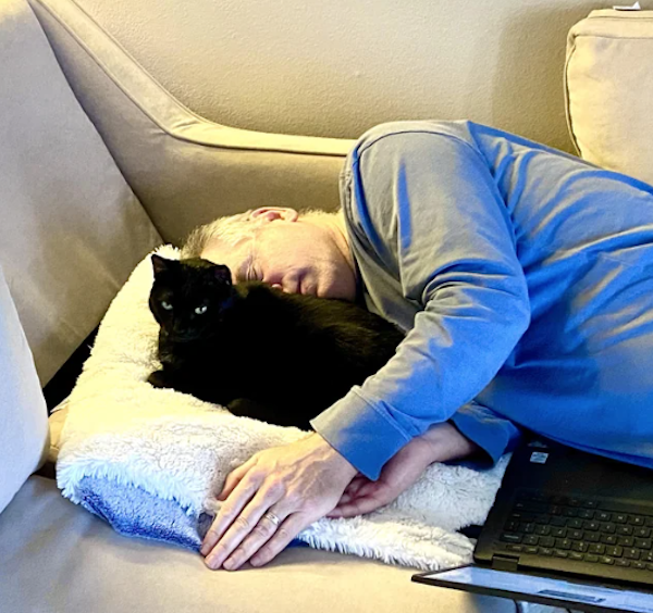 They Didn't Want Pets (29 pics) They Didn't Want Pets (29 pics)
