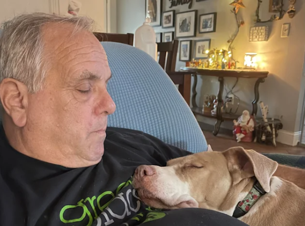 They Didn't Want Pets (29 pics) They Didn't Want Pets (29 pics)