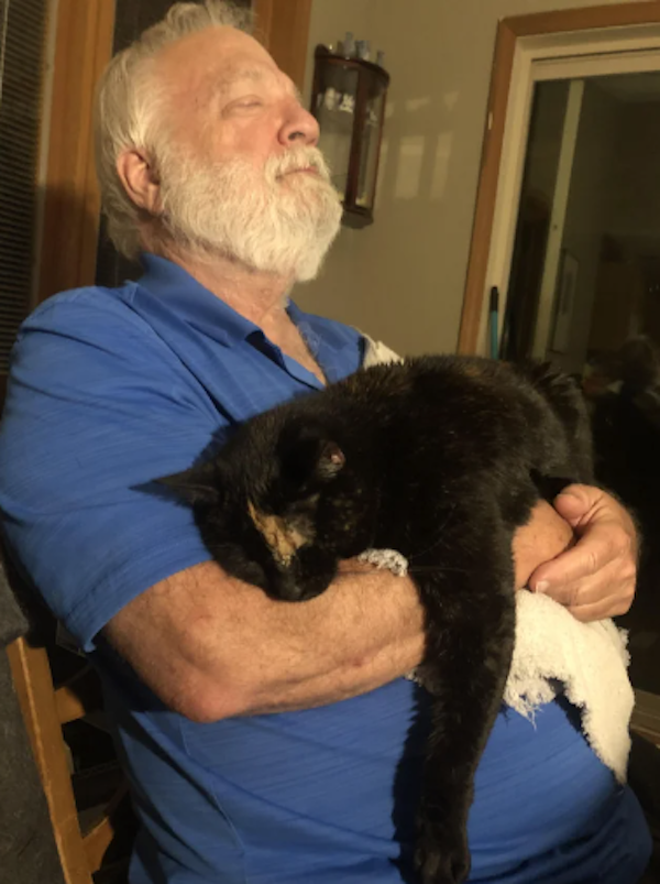 They Didn't Want Pets (29 pics) They Didn't Want Pets (29 pics)