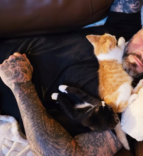 They Didn't Want Pets (29 pics) They Didn't Want Pets (29 pics)