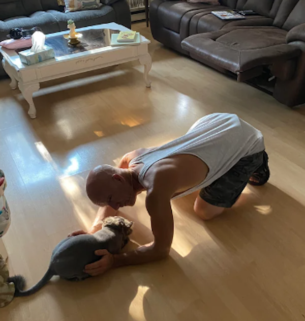 They Didn't Want Pets (29 pics) They Didn't Want Pets (29 pics)