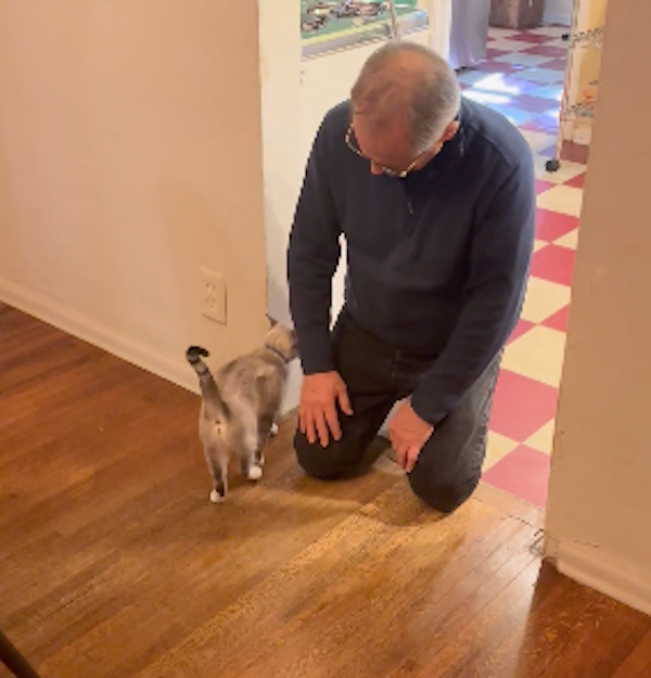 They Didn't Want Pets (29 pics) They Didn't Want Pets (29 pics)