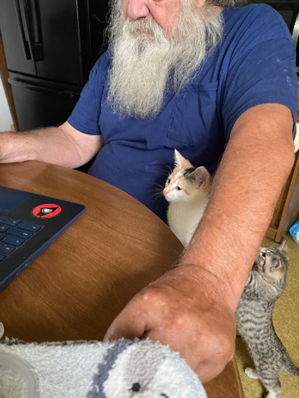 They Didn't Want Pets (29 pics) They Didn't Want Pets (29 pics)