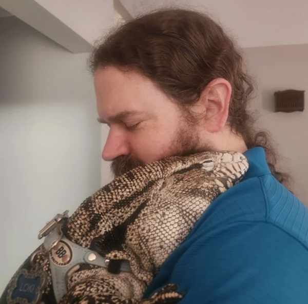 They Didn't Want Pets (29 pics) They Didn't Want Pets (29 pics)