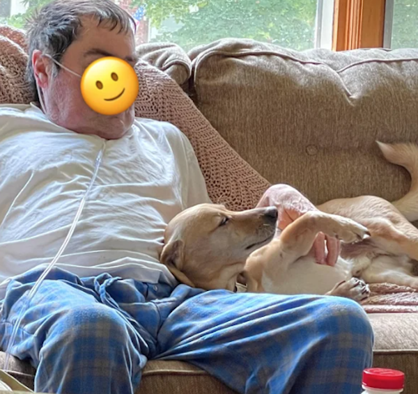 They Didn't Want Pets (29 pics) They Didn't Want Pets (29 pics)
