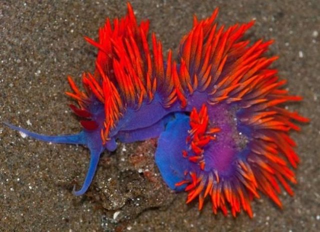 Nature Is Very Creative (19 pics) Nature Is Very Creative (19 pics)
