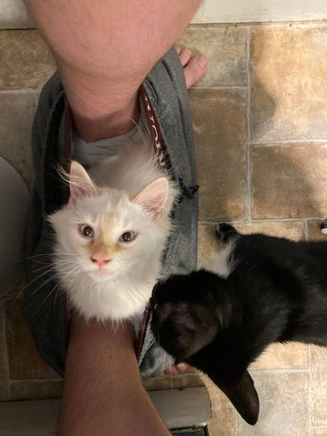 They Don't Care About Personal Space (20 pics) They Don't Care About Personal Space (20 pics)