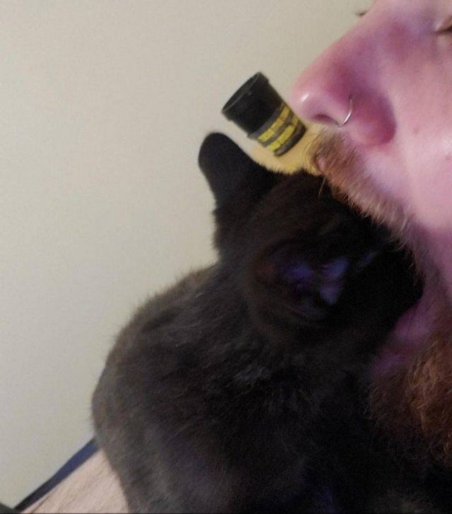 They Don't Care About Personal Space (20 pics) They Don't Care About Personal Space (20 pics)