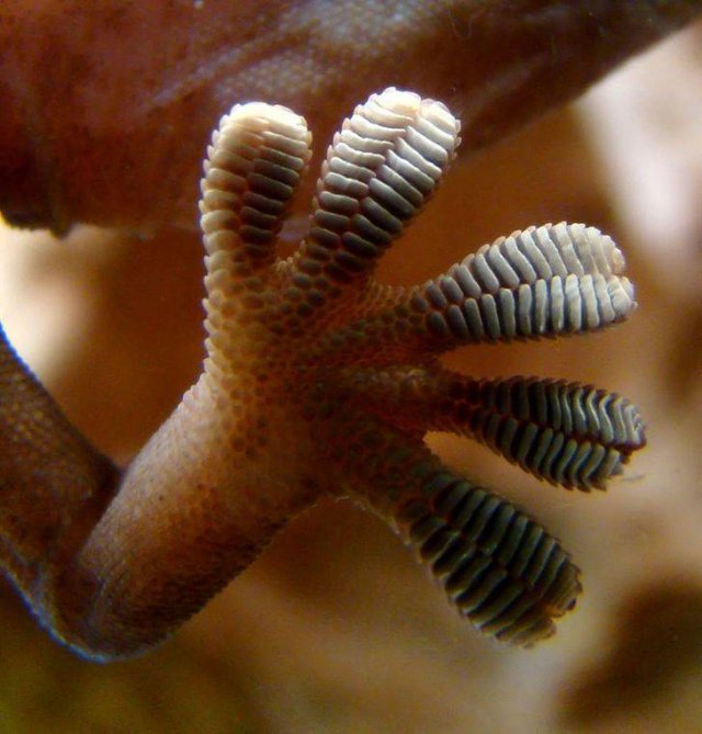 Nature Is Very Creative (19 pics) Nature Is Very Creative (19 pics)