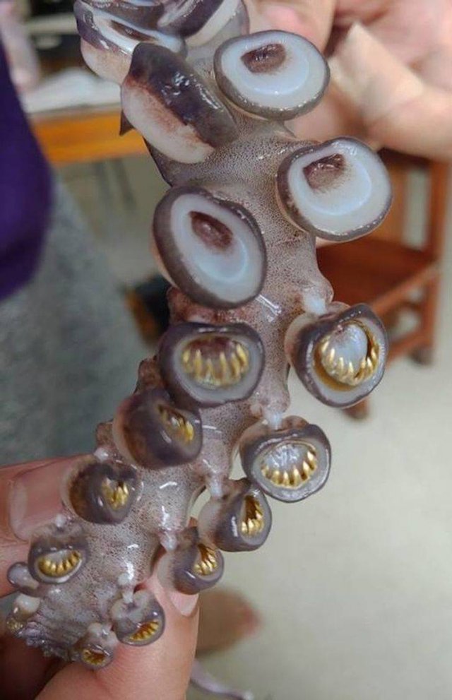 Nature Is Very Creative (19 pics) Nature Is Very Creative (19 pics)