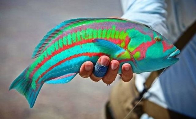 Nature Is Very Creative (19 pics) Nature Is Very Creative (19 pics)