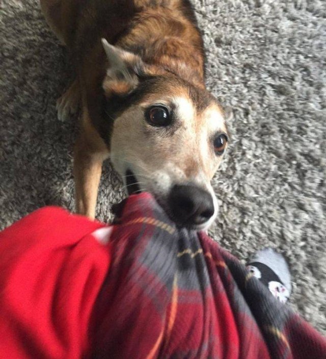 They Don't Care About Personal Space (20 pics) They Don't Care About Personal Space (20 pics)