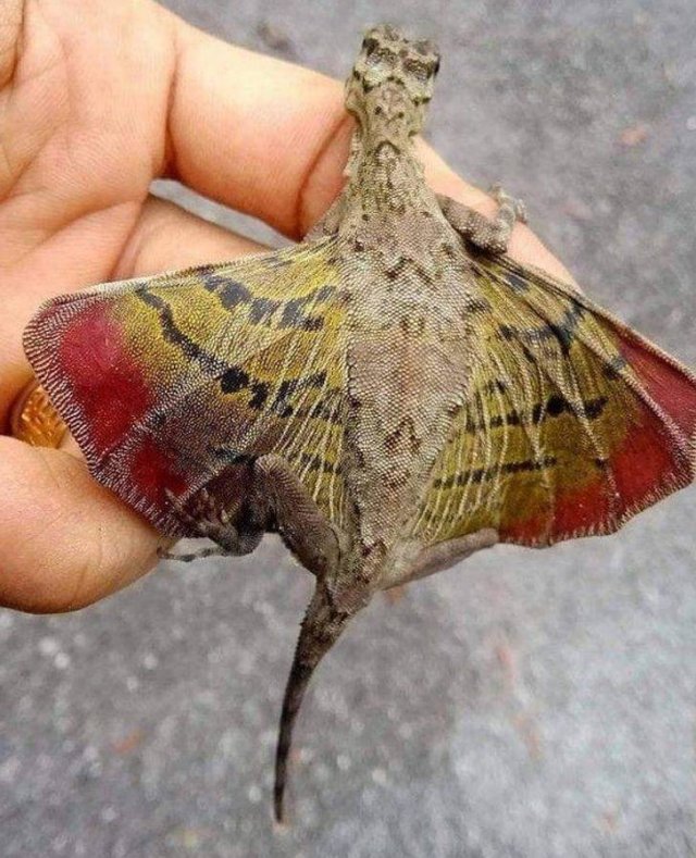 Nature Is Very Creative (19 pics) Nature Is Very Creative (19 pics)