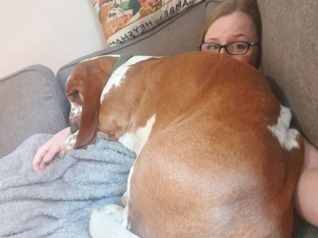 They Don't Care About Personal Space (20 pics) They Don't Care About Personal Space (20 pics)
