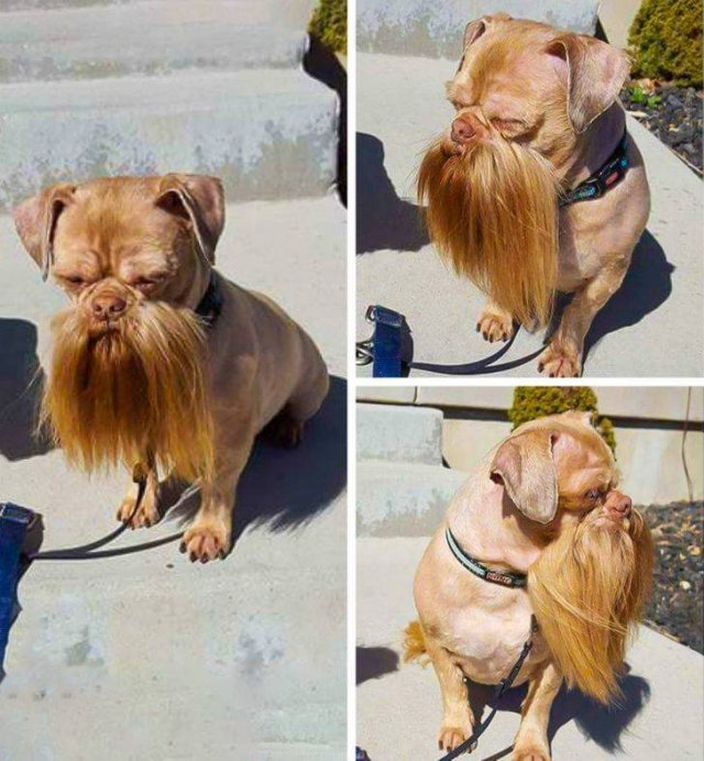 Nature Is Very Creative (19 pics) Nature Is Very Creative (19 pics)