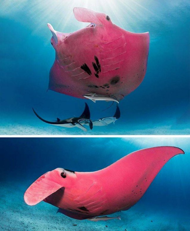 Nature Is Very Creative (19 pics) Nature Is Very Creative (19 pics)