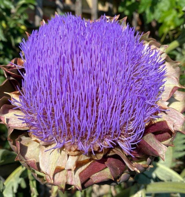 Nature Is Very Creative (19 pics) Nature Is Very Creative (19 pics)