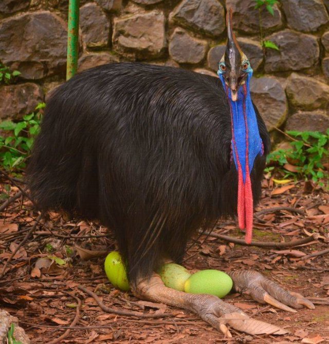 Nature Is Very Creative (19 pics)