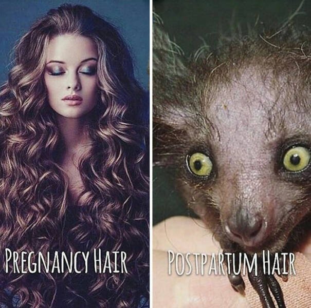 Jokes About Pregnancy And Parenting (20 pics)