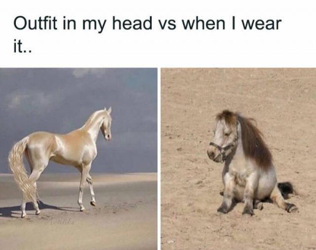 Jokes About Pregnancy And Parenting (20 pics)