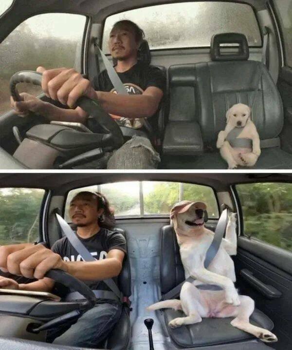 Positive And Winning Moments (23 pics)