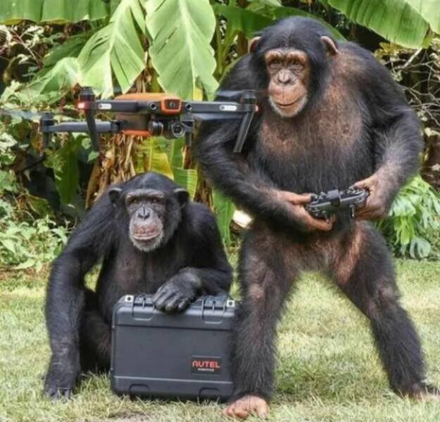 Pictures For Gamers (25 pics)