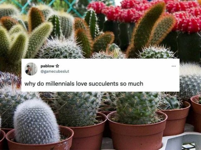 Only Millennials Like This (13 pics)