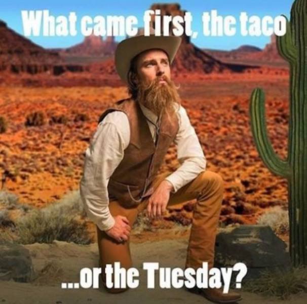 Strange Finds And Situations (49 pics)