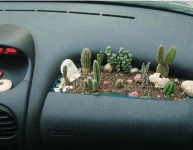 Weird DIY Crafts (18 pics)