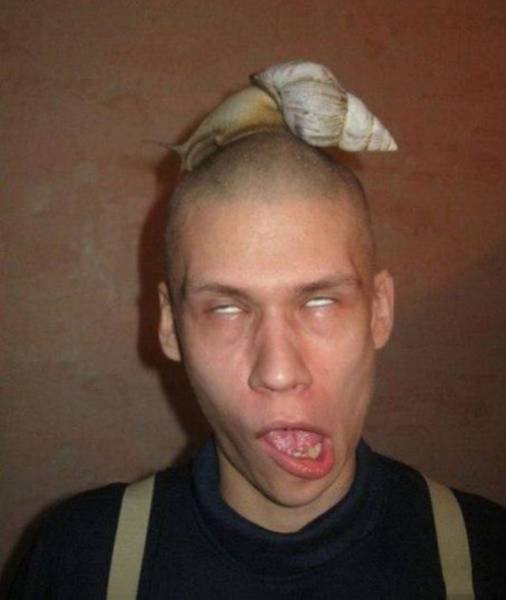 Strange Finds And Situations (49 pics)