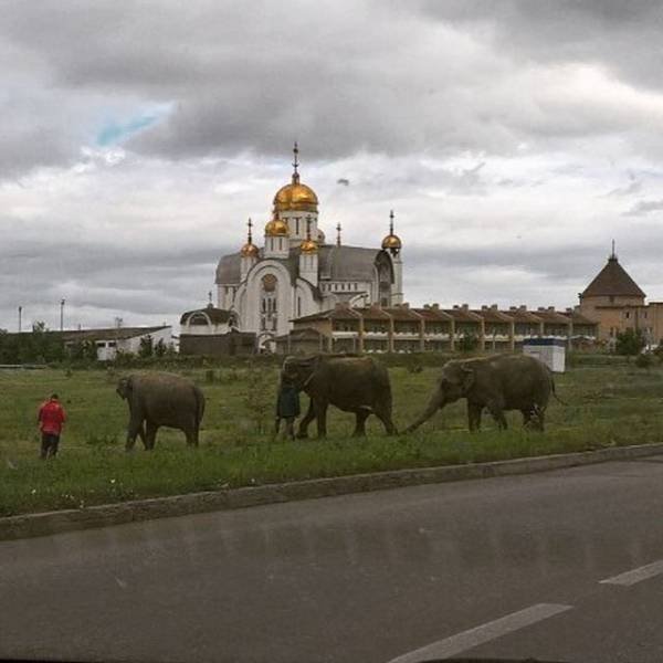 Weird Photos From Russia (40 pics)