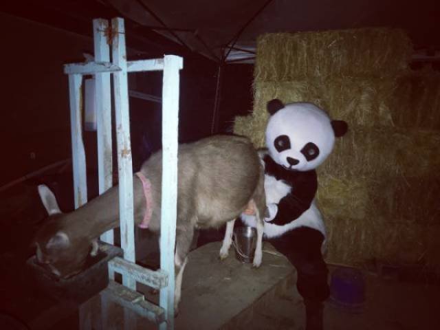 Strange Finds And Situations (49 pics)