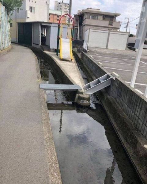 Strange Finds And Situations (49 pics)