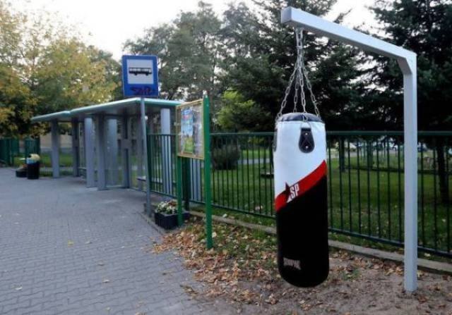 Strange Finds And Situations (49 pics)