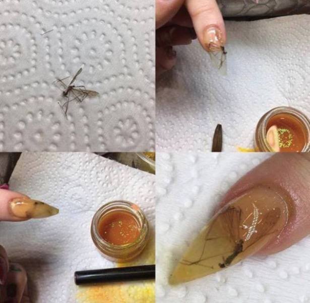 Weird DIY Crafts (18 pics)