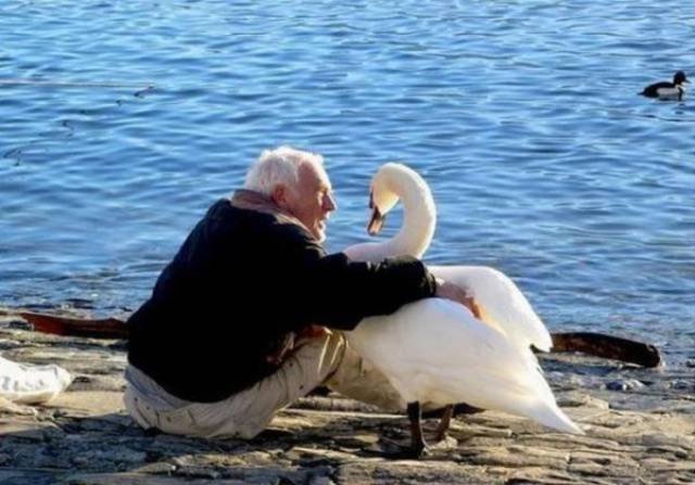 Strange Finds And Situations (49 pics)
